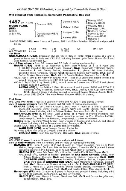 December Mare Sale - Tattersalls