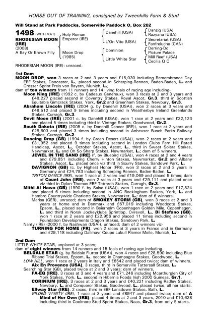 December Mare Sale - Tattersalls