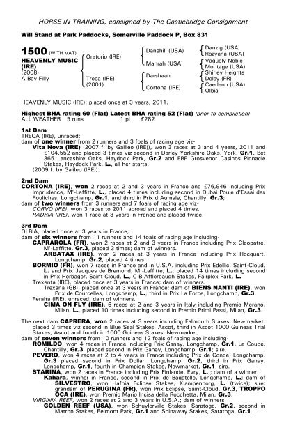 December Mare Sale - Tattersalls