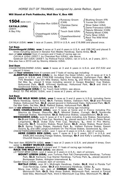 December Mare Sale - Tattersalls