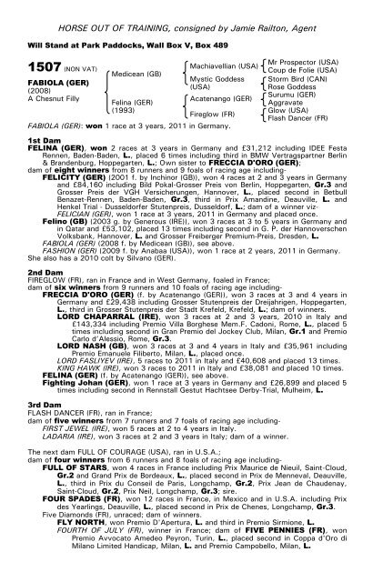 December Mare Sale - Tattersalls