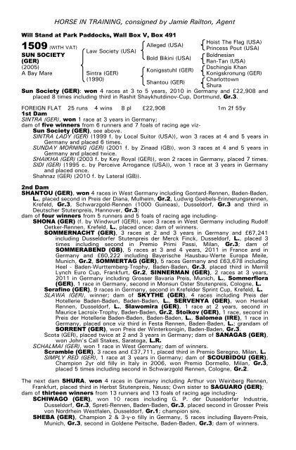 December Mare Sale - Tattersalls