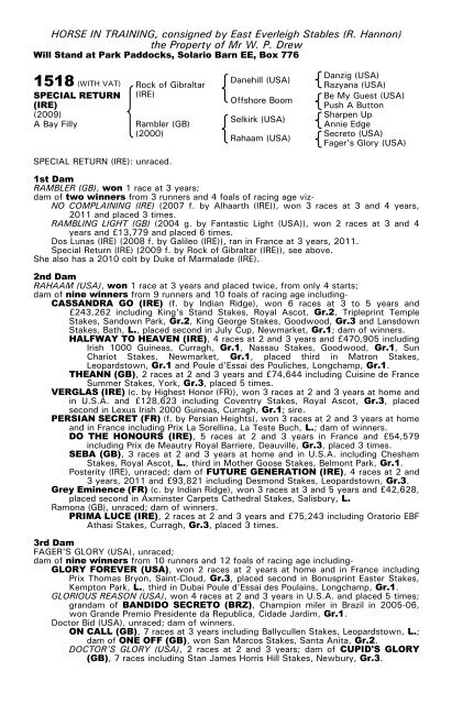 December Mare Sale - Tattersalls