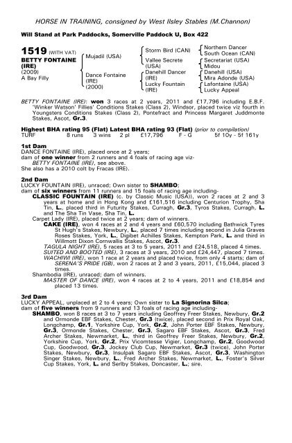 December Mare Sale - Tattersalls