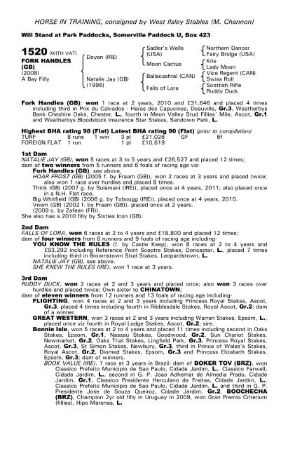 December Mare Sale - Tattersalls