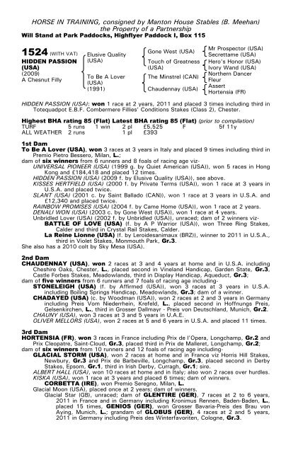 December Mare Sale - Tattersalls