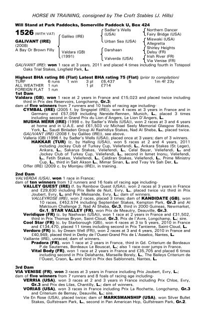 December Mare Sale - Tattersalls