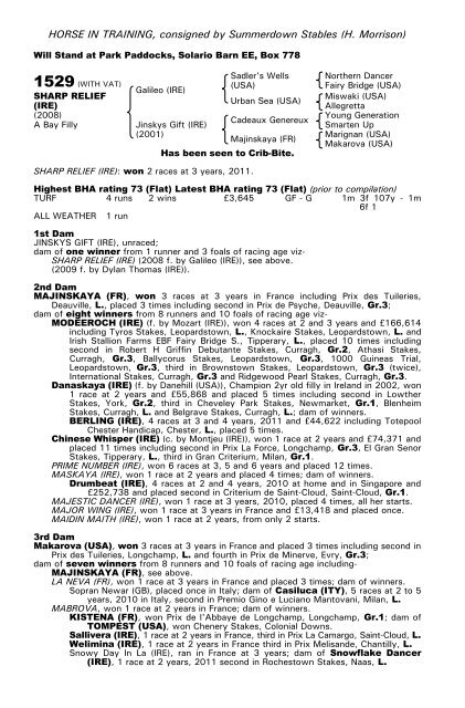 December Mare Sale - Tattersalls