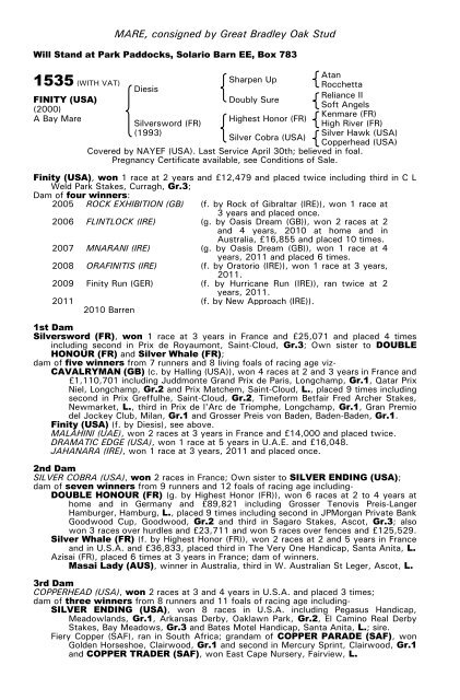 December Mare Sale - Tattersalls