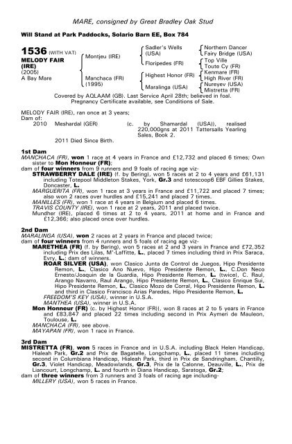 December Mare Sale - Tattersalls