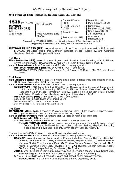 December Mare Sale - Tattersalls