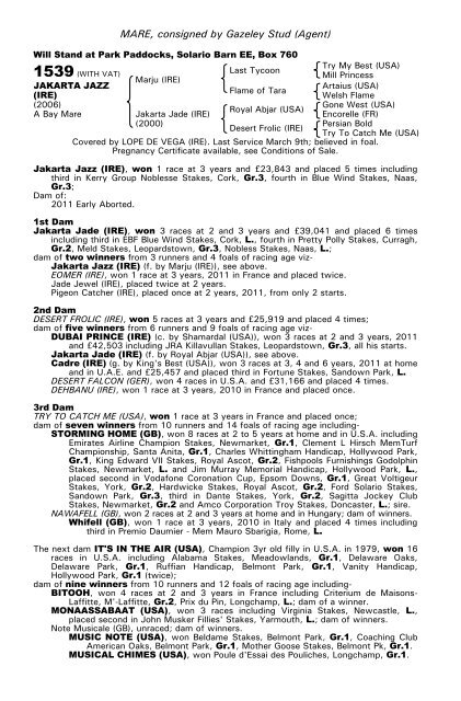 December Mare Sale - Tattersalls