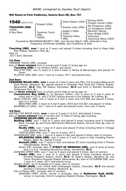 December Mare Sale - Tattersalls