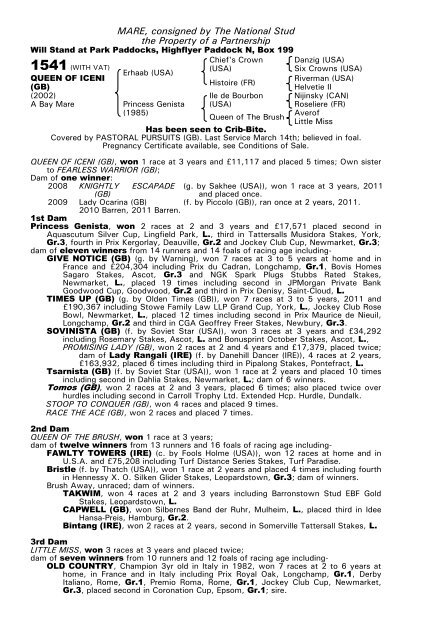 December Mare Sale - Tattersalls