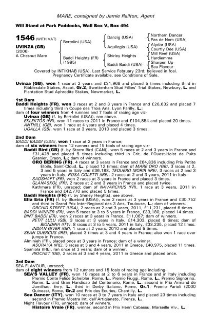 December Mare Sale - Tattersalls