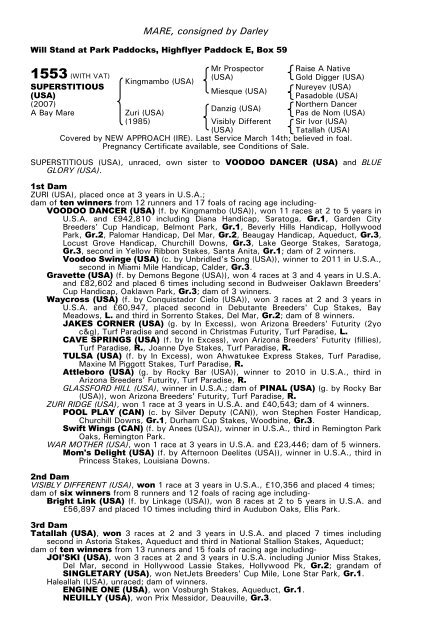 December Mare Sale - Tattersalls