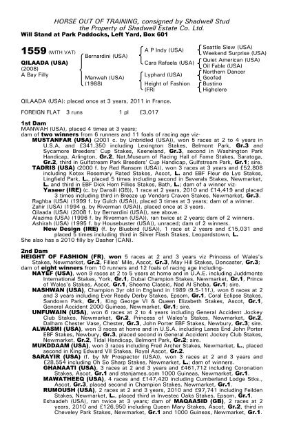 December Mare Sale - Tattersalls