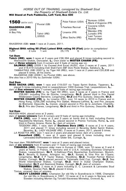 December Mare Sale - Tattersalls