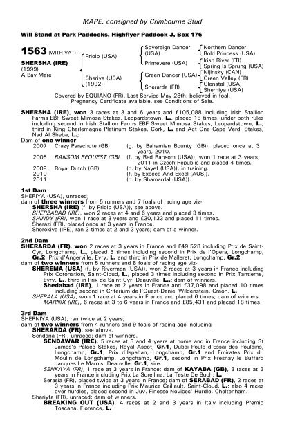 December Mare Sale - Tattersalls