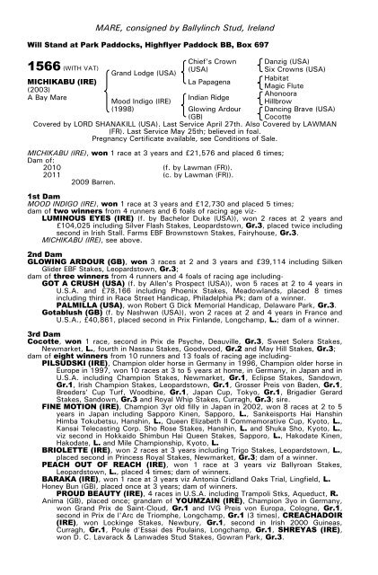 December Mare Sale - Tattersalls