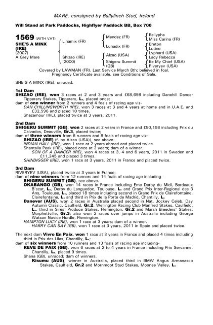 December Mare Sale - Tattersalls