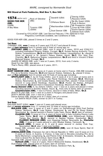 December Mare Sale - Tattersalls