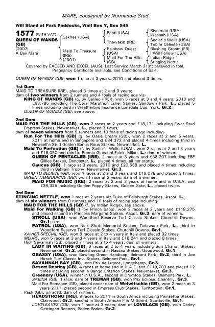 December Mare Sale - Tattersalls