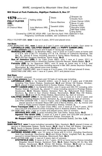 December Mare Sale - Tattersalls