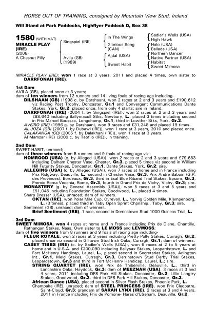 December Mare Sale - Tattersalls