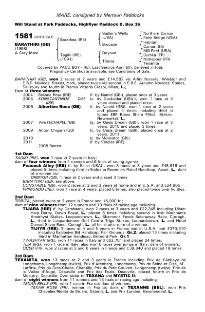 December Mare Sale - Tattersalls