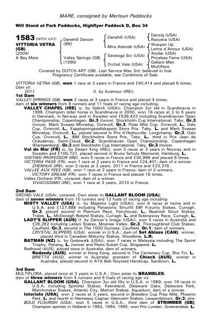 December Mare Sale - Tattersalls