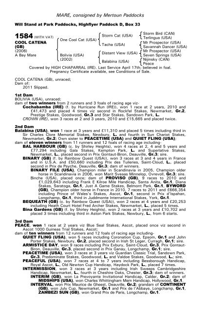 December Mare Sale - Tattersalls