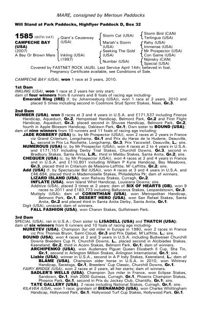 December Mare Sale - Tattersalls