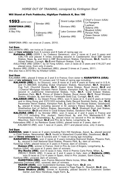 December Mare Sale - Tattersalls