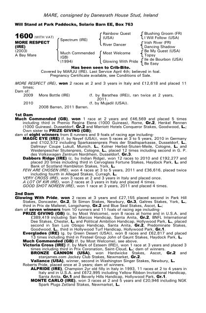 December Mare Sale - Tattersalls