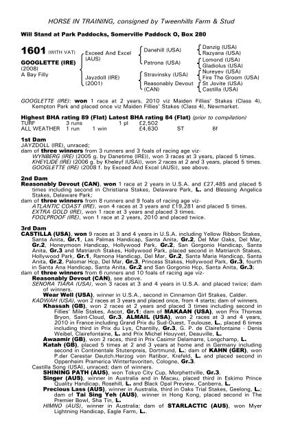 December Mare Sale - Tattersalls