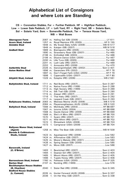 December Mare Sale - Tattersalls