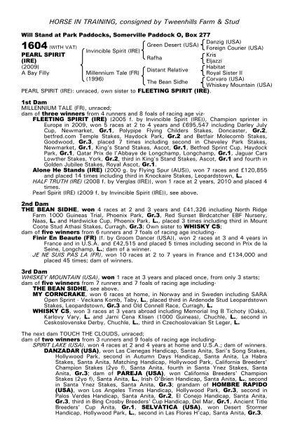 December Mare Sale - Tattersalls