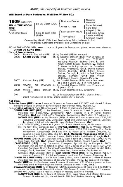 December Mare Sale - Tattersalls