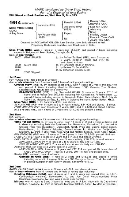 December Mare Sale - Tattersalls