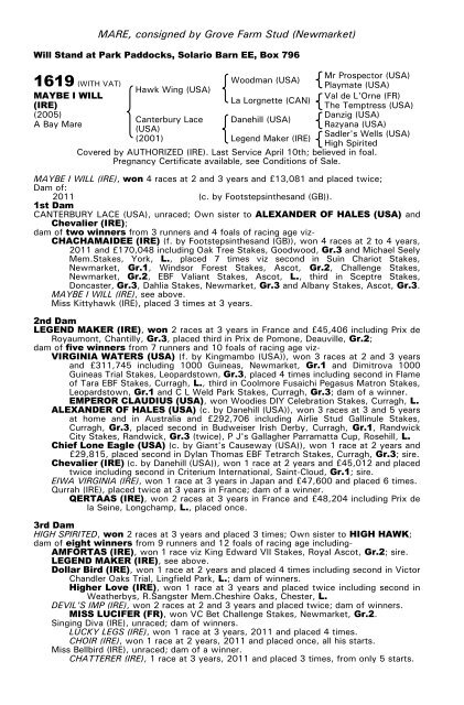 December Mare Sale - Tattersalls