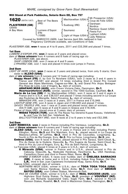 December Mare Sale - Tattersalls