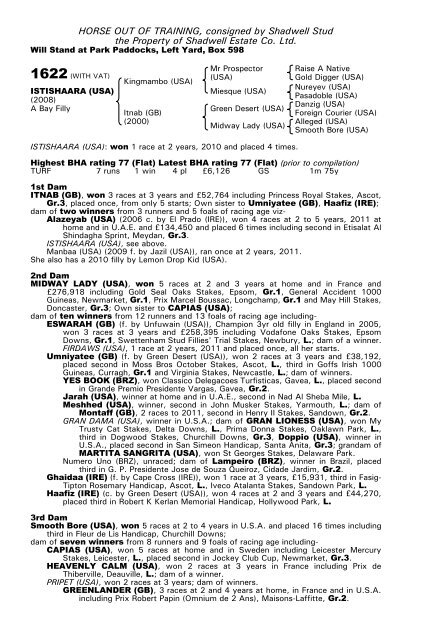 December Mare Sale - Tattersalls