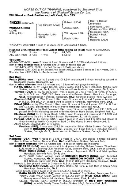 December Mare Sale - Tattersalls