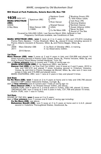 December Mare Sale - Tattersalls