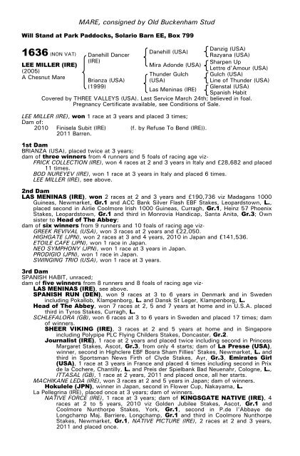 December Mare Sale - Tattersalls