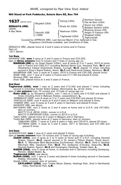 December Mare Sale - Tattersalls