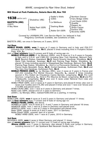 December Mare Sale - Tattersalls