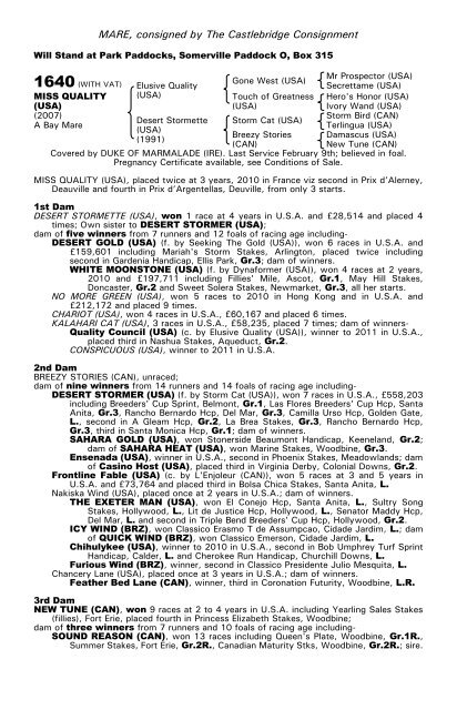 December Mare Sale - Tattersalls