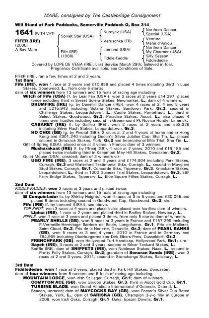 December Mare Sale - Tattersalls